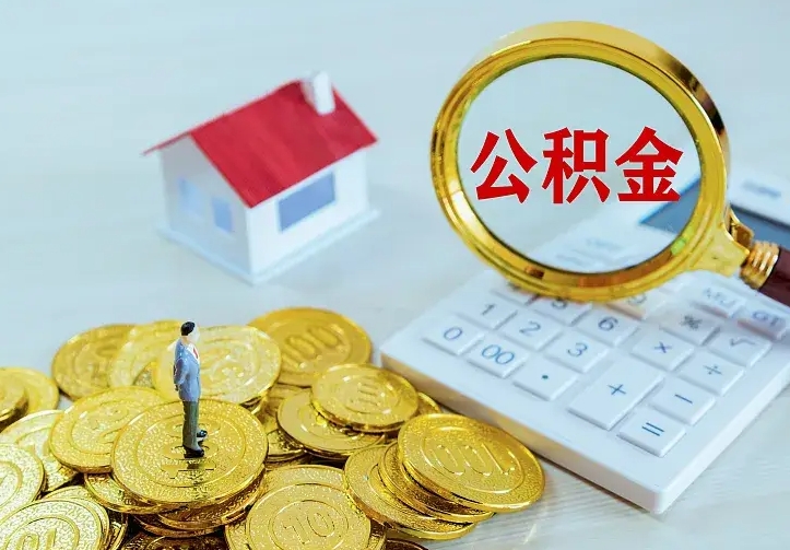 温县公积金封存十年怎么提（公积金封存十年提取）
